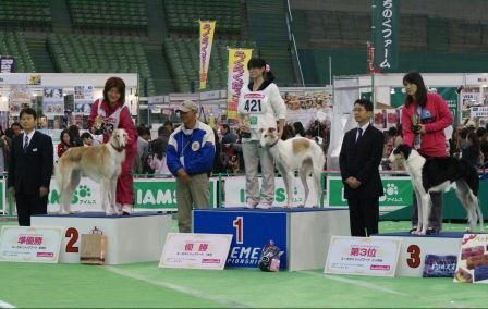 平間ブリーダーの画像
