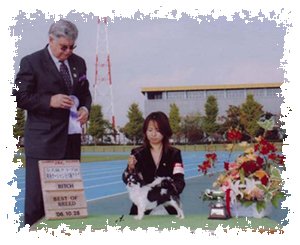 田村ブリーダーの画像